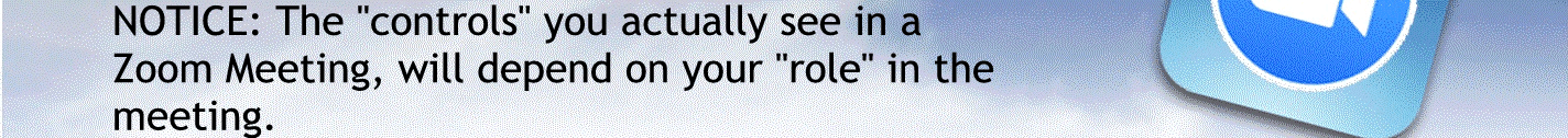 Notice the controls you actually see in a zoom meeting will depend on your role in the meeting